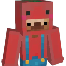 ZenithLP's Minecraft skin