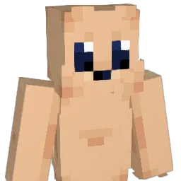 Zenith_00101 Minecraft avatar bust