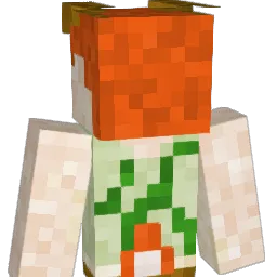 Zenri53 Minecraft avatar bust