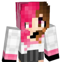 Zer0ni_ Minecraft avatar bust