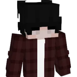 ZezinL_ Minecraft avatar bust