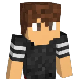 Zinvek Minecraft avatar bust