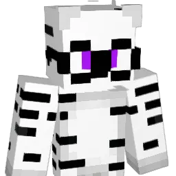 ZipGamerHD's Minecraft skin