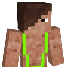 Zitkaduta7667 Minecraft avatar bust