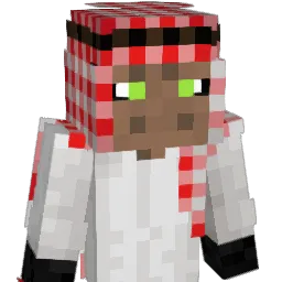 ZitronicYT Minecraft avatar bust