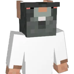 Zivwy Minecraft avatar bust