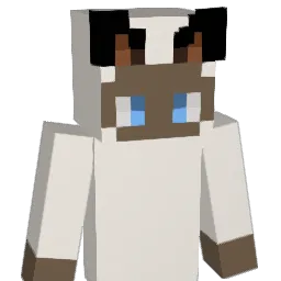 ZlwhsDark Minecraft avatar bust