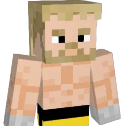 Zmob1429 Minecraft avatar bust