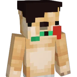 ZoR08090 Minecraft avatar bust