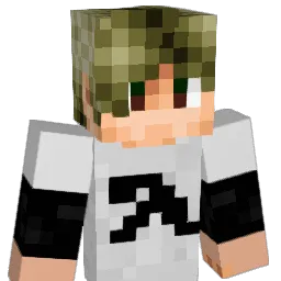 ZocaRodu's Minecraft skin