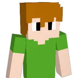 Zoinkys_ Minecraft avatar bust