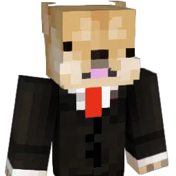 ZoopyDoopy's Minecraft skin