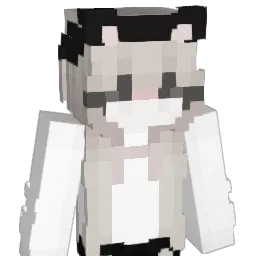 Zora_377 Minecraft avatar bust