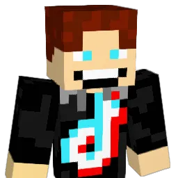 Zorbei2004 Minecraft avatar bust