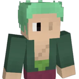 Zoro2