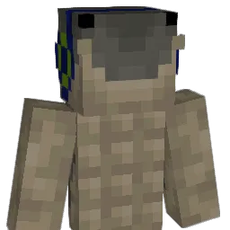 Zoro_techo