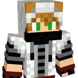 Zoronian11 Minecraft avatar bust
