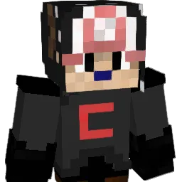 ZorrLe_BG Minecraft avatar bust