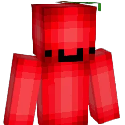 Zouckk Minecraft avatar bust