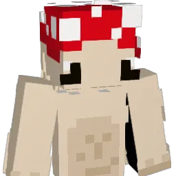 Zozol_33 Minecraft avatar bust