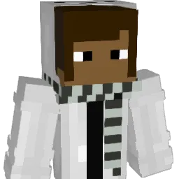 Zwaany Minecraft avatar bust