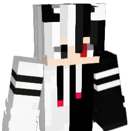 ZwarYT's Minecraft skin