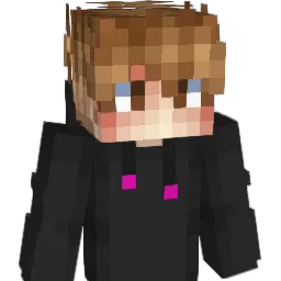 ZwirnABC123 Minecraft avatar bust