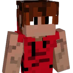 Zygard20 Minecraft avatar bust