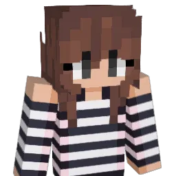 ZymZymZamZam Minecraft avatar bust