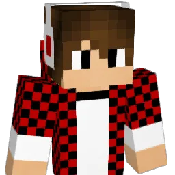 ZzDisTanTzZ Minecraft avatar bust