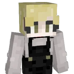_196 Minecraft avatar bust