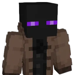 _2h0llis Minecraft avatar bust