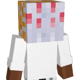 _50lz Minecraft avatar bust