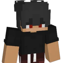 _890_ Minecraft avatar bust