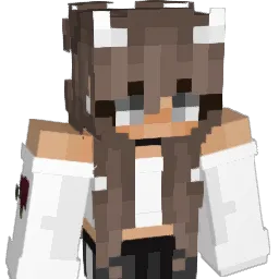 _Ahkrin_ Minecraft avatar bust