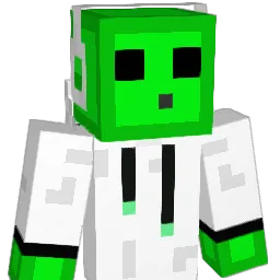 _Aidan347 Minecraft avatar bust