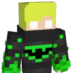 _Ainns_ Minecraft avatar bust