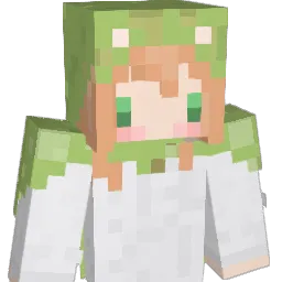 _AroeCh4n Minecraft avatar bust