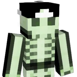 _BGR4Y_ Minecraft avatar bust