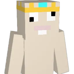 _Binji_ Minecraft avatar bust