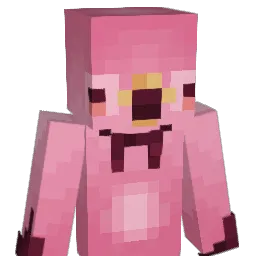 _BirbBoii_ Minecraft avatar bust