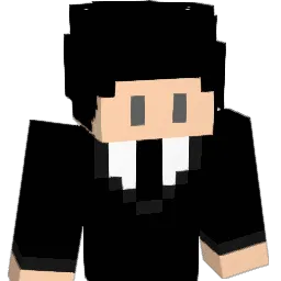 _BleHe_ Minecraft avatar bust