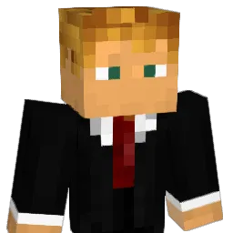 _Borza_ Minecraft avatar bust