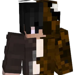 _COCOcarry_
