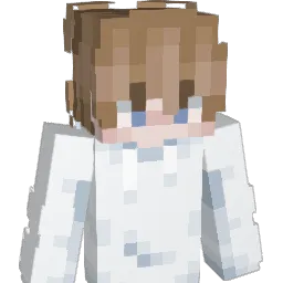 _Confidential_ Minecraft avatar bust