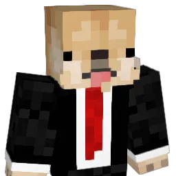 _DiiMOn_ Minecraft avatar bust