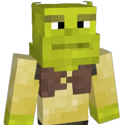 _DiigDealKidd_ Minecraft avatar bust