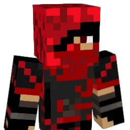_DingDong_ Minecraft avatar bust