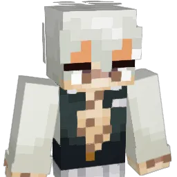 _Document Minecraft avatar bust