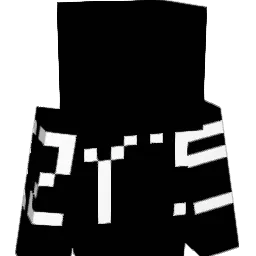 _EndMii's Minecraft skin